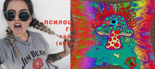 кокс Баксан