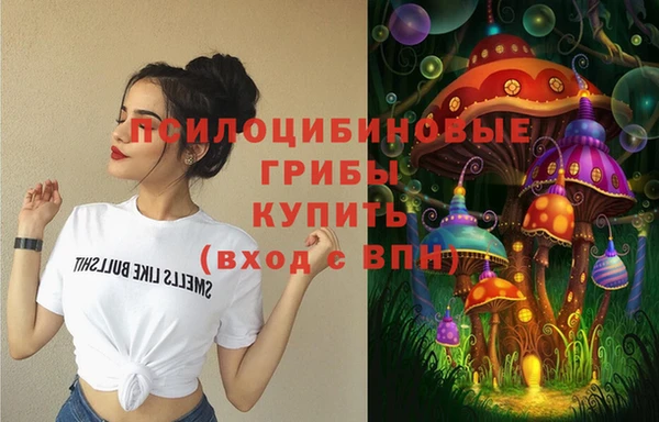 кокс Баксан